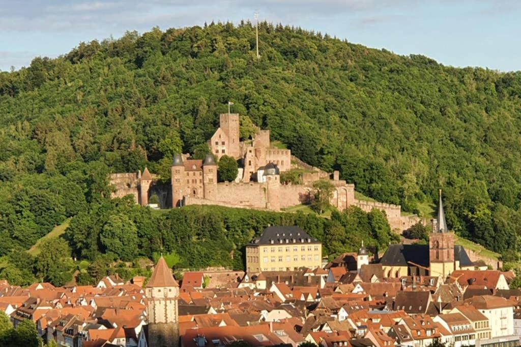 Ferienwohnung 'Burgblick' Wertheim Exterior photo